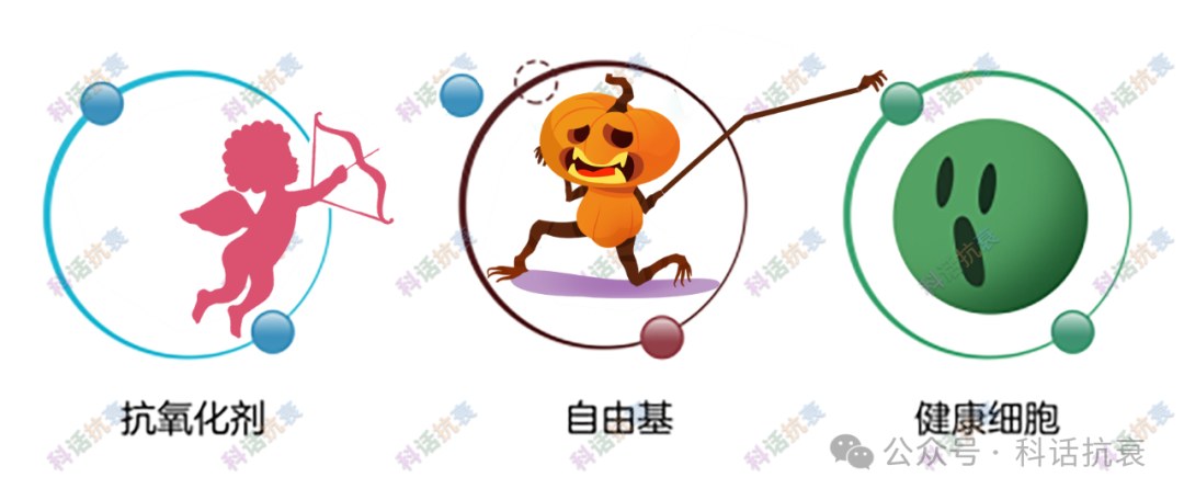 抗氧化剂清除自由基，保护健康细胞